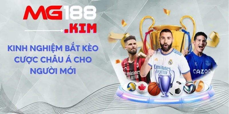 kinh-nghiem-bat-keo-cuoc-chau-a-cho-nguoi-moi